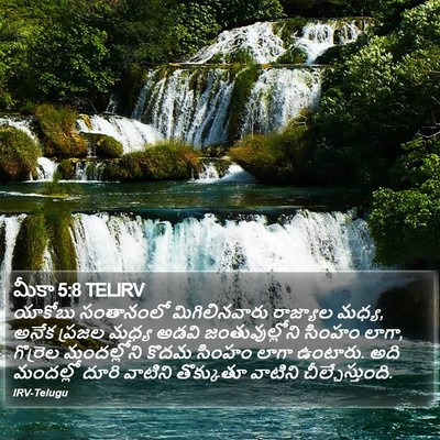 మీకా 5:8 TELIRV Bible Verse Image