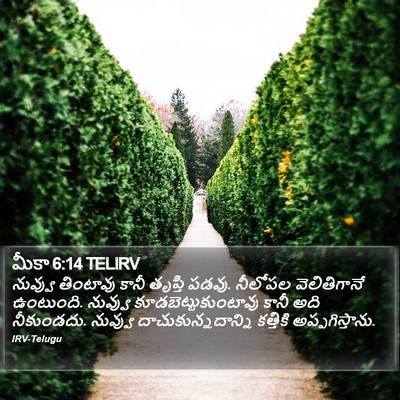 మీకా 6:14 TELIRV Bible Verse Image