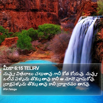 మీకా 6:15 TELIRV Bible Verse Image