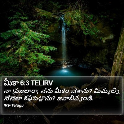 మీకా 6:3 TELIRV Bible Verse Image