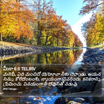 మీకా 6:8 TELIRV Bible Verse Image