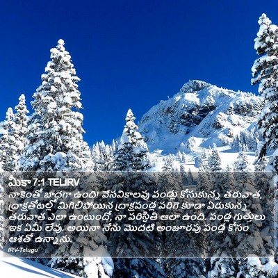 మీకా 7:1 TELIRV Bible Verse Image