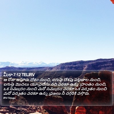 మీకా 7:12 TELIRV Bible Verse Image