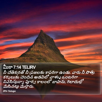 మీకా 7:14 TELIRV Bible Verse Image