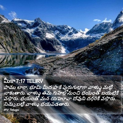 మీకా 7:17 TELIRV Bible Verse Image