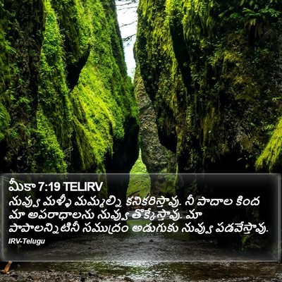 మీకా 7:19 TELIRV Bible Verse Image