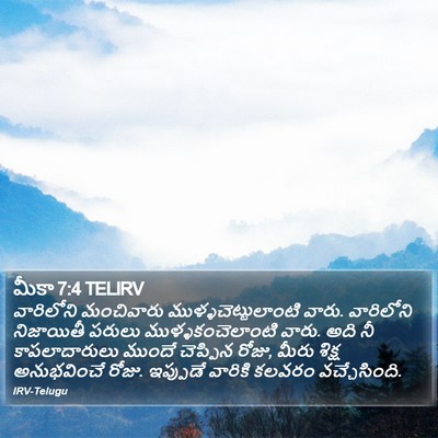 మీకా 7:4 TELIRV Bible Verse Image