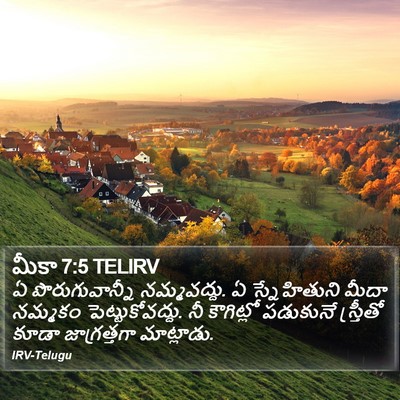 మీకా 7:5 TELIRV Bible Verse Image