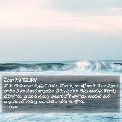 మీకా 7:9 TELIRV Bible Verse Image