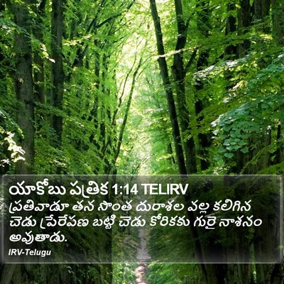 యాకోబు పత్రిక 1:14 TELIRV Bible Verse Image