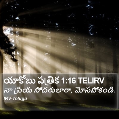 యాకోబు పత్రిక 1:16 TELIRV Bible Verse Image