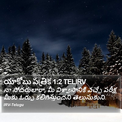 యాకోబు పత్రిక 1:2 TELIRV Bible Verse Image