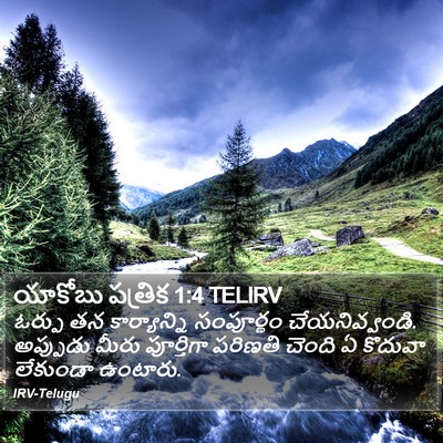 యాకోబు పత్రిక 1:4 TELIRV Bible Verse Image