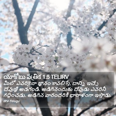 యాకోబు పత్రిక 1:5 TELIRV Bible Verse Image