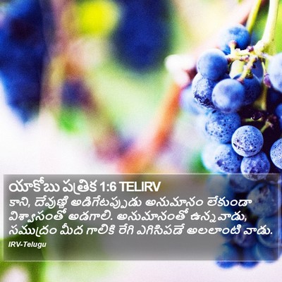యాకోబు పత్రిక 1:6 TELIRV Bible Verse Image