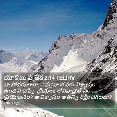 యాకోబు పత్రిక 2:14 TELIRV Bible Verse Image