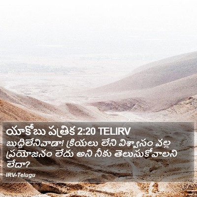 యాకోబు పత్రిక 2:20 TELIRV Bible Verse Image