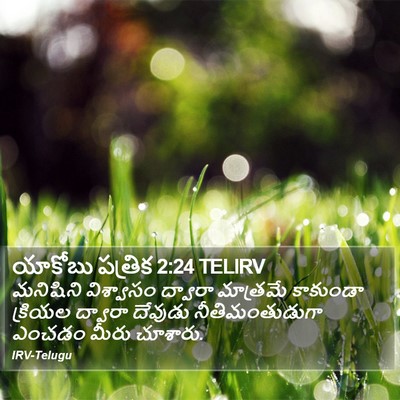యాకోబు పత్రిక 2:24 TELIRV Bible Verse Image