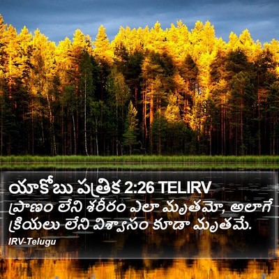 యాకోబు పత్రిక 2:26 TELIRV Bible Verse Image