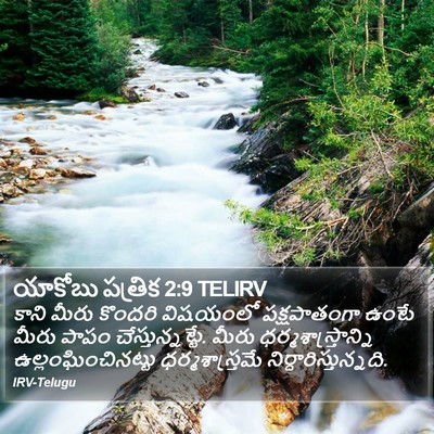 యాకోబు పత్రిక 2:9 TELIRV Bible Verse Image