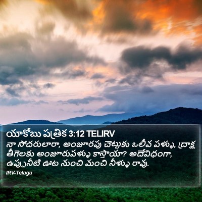 యాకోబు పత్రిక 3:12 TELIRV Bible Verse Image