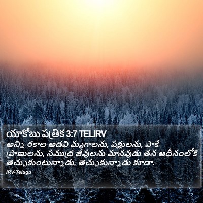 యాకోబు పత్రిక 3:7 TELIRV Bible Verse Image