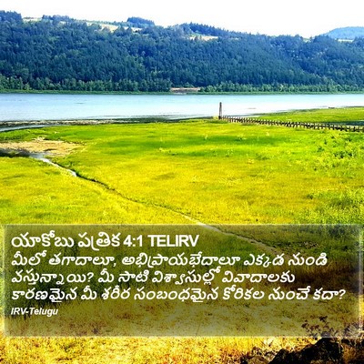 యాకోబు పత్రిక 4:1 TELIRV Bible Verse Image
