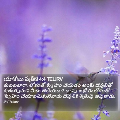 యాకోబు పత్రిక 4:4 TELIRV Bible Verse Image