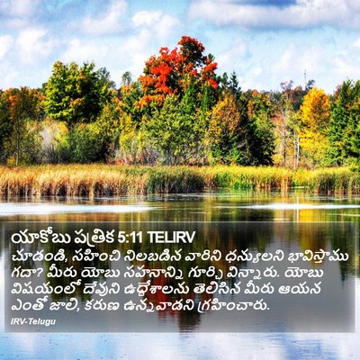 యాకోబు పత్రిక 5:11 TELIRV Bible Verse Image