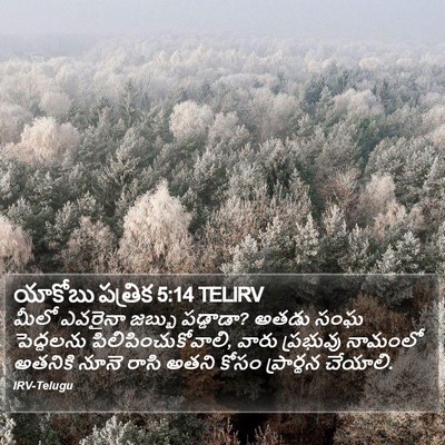 యాకోబు పత్రిక 5:14 TELIRV Bible Verse Image