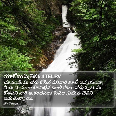 యాకోబు పత్రిక 5:4 TELIRV Bible Verse Image