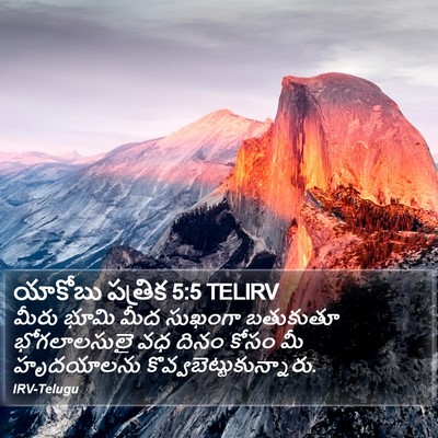యాకోబు పత్రిక 5:5 TELIRV Bible Verse Image