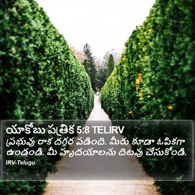 యాకోబు పత్రిక 5:8 TELIRV Bible Verse Image