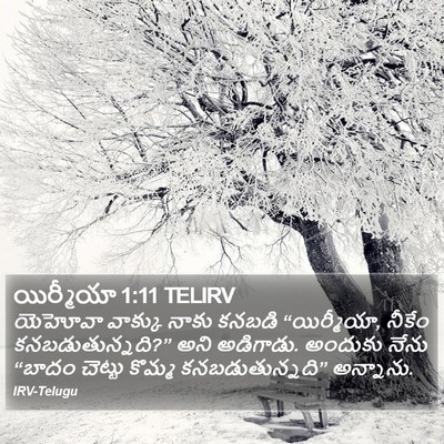 యిర్మీయా 1:11 TELIRV Bible Verse Image