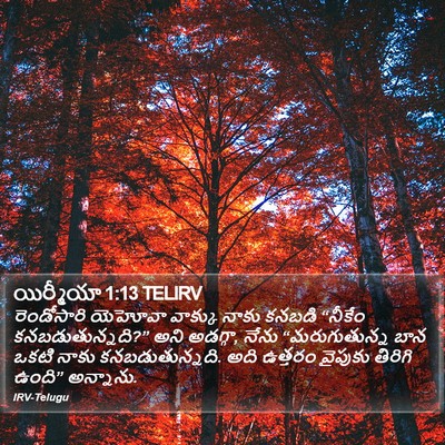 యిర్మీయా 1:13 TELIRV Bible Verse Image
