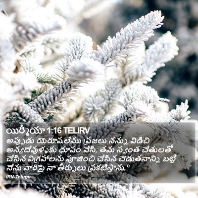 యిర్మీయా 1:16 TELIRV Bible Verse Image