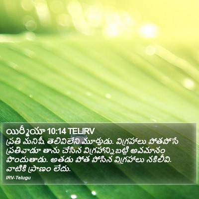 యిర్మీయా 10:14 TELIRV Bible Verse Image