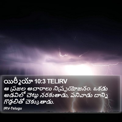 యిర్మీయా 10:3 TELIRV Bible Verse Image