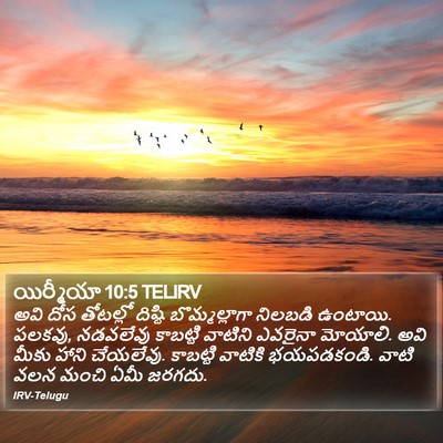 యిర్మీయా 10:5 TELIRV Bible Verse Image