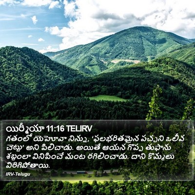 యిర్మీయా 11:16 TELIRV Bible Verse Image