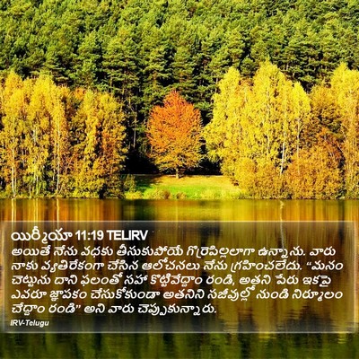 యిర్మీయా 11:19 TELIRV Bible Verse Image