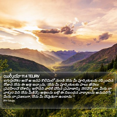 యిర్మీయా 11:4 TELIRV Bible Verse Image