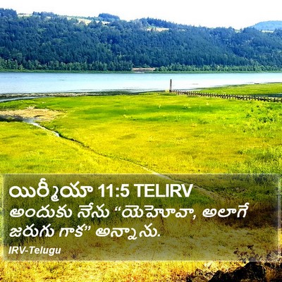 యిర్మీయా 11:5 TELIRV Bible Verse Image