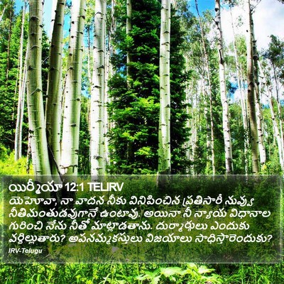 యిర్మీయా 12:1 TELIRV Bible Verse Image