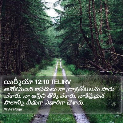యిర్మీయా 12:10 TELIRV Bible Verse Image