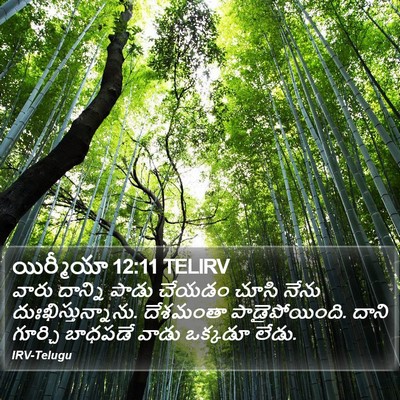 యిర్మీయా 12:11 TELIRV Bible Verse Image