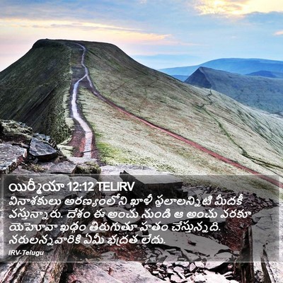 యిర్మీయా 12:12 TELIRV Bible Verse Image
