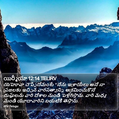 యిర్మీయా 12:14 TELIRV Bible Verse Image