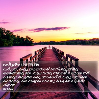 యిర్మీయా 12:5 TELIRV Bible Verse Image