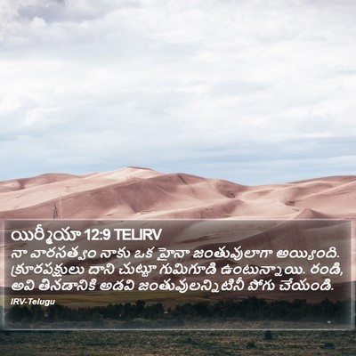 యిర్మీయా 12:9 TELIRV Bible Verse Image